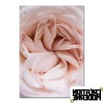 Tableau rose Fleur