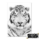 Tableau Tigre Blanc Animaux ✓ nature ✓ Noir et